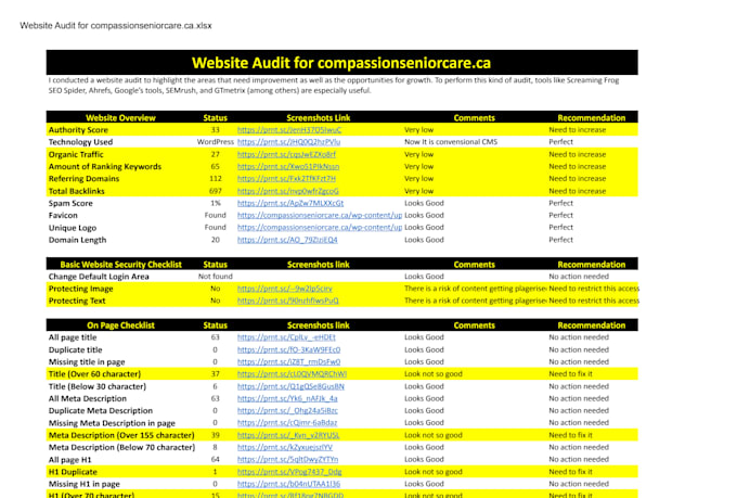 professional website audit with SEO